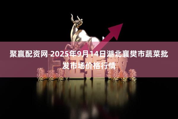 聚赢配资网 2025年9月14日湖北襄樊市蔬菜批发市场价格行情