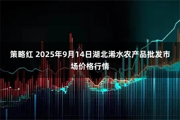 策略红 2025年9月14日湖北浠水农产品批发市场价格行情
