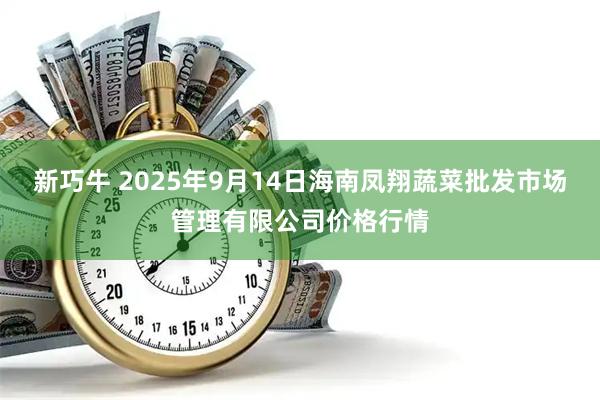 新巧牛 2025年9月14日海南凤翔蔬菜批发市场管理有限公司价格行情