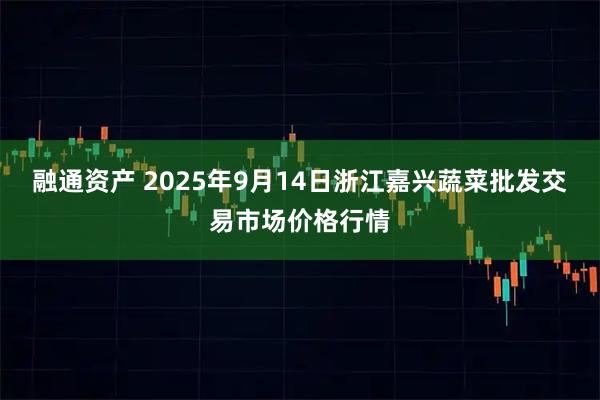 融通资产 2025年9月14日浙江嘉兴蔬菜批发交易市场价格行情