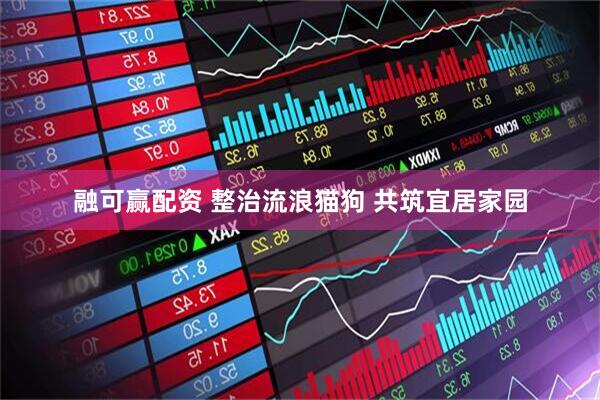 融可赢配资 整治流浪猫狗 共筑宜居家园