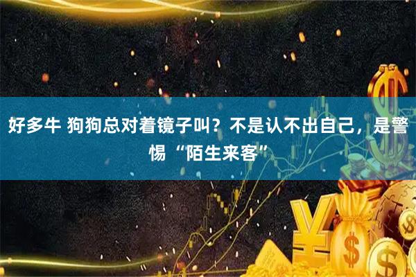 好多牛 狗狗总对着镜子叫？不是认不出自己，是警惕 “陌生来客”