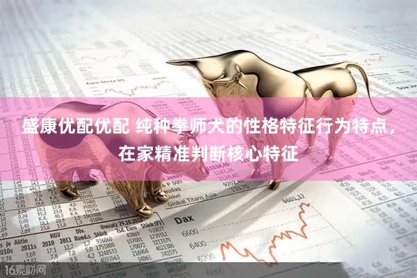 盛康优配优配 纯种拳师犬的性格特征行为特点，在家精准判断核心特征