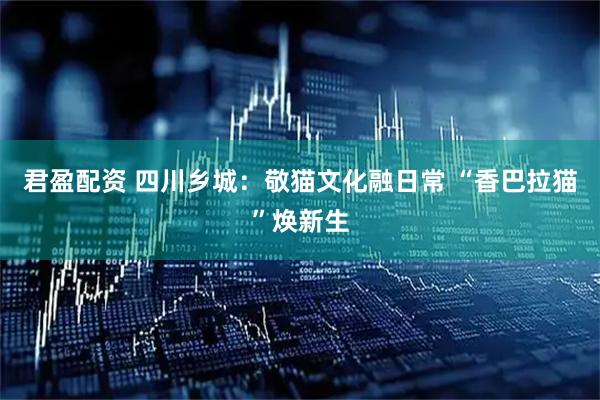君盈配资 四川乡城：敬猫文化融日常 “香巴拉猫”焕新生