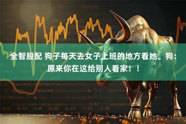 全智股配 狗子每天去女子上班的地方看她。狗：原来你在这给别人看家！！