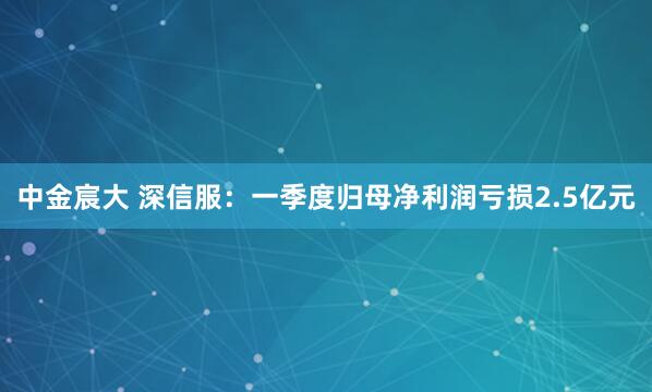 中金宸大 深信服：一季度归母净利润亏损2.5亿元