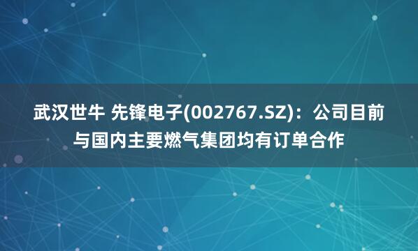 武汉世牛 先锋电子(002767.SZ)：公司目前与国内主要燃气集团均有订单合作