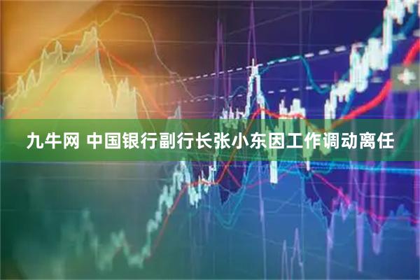 九牛网 中国银行副行长张小东因工作调动离任