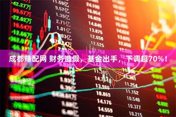 成都赚配网 财务造假，基金出手，下调超70%！