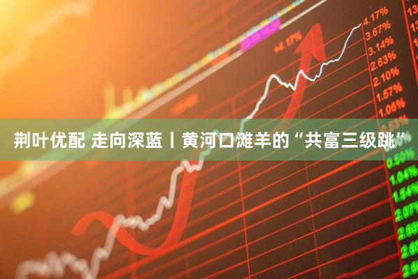 荆叶优配 走向深蓝丨黄河口滩羊的“共富三级跳”