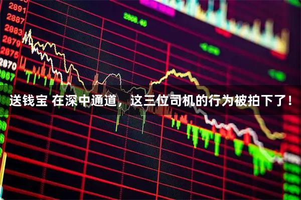 送钱宝 在深中通道，这三位司机的行为被拍下了！