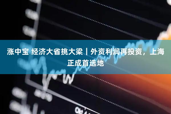 涨中宝 经济大省挑大梁｜外资利润再投资，上海正成首选地