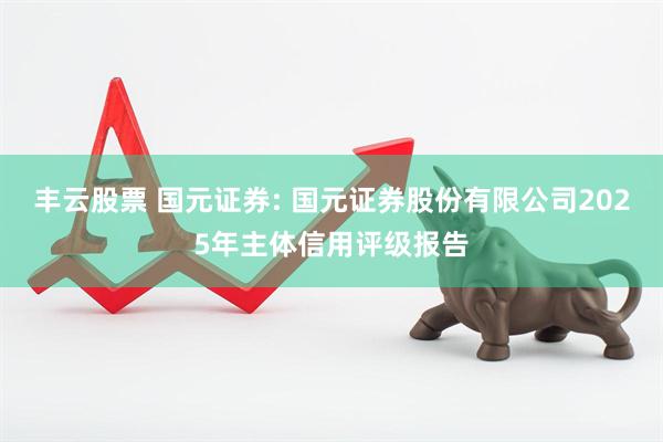 丰云股票 国元证券: 国元证券股份有限公司2025年主体信用评级报告
