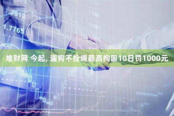 堆财网 今起, 遛狗不拴绳最高拘留10日罚1000元