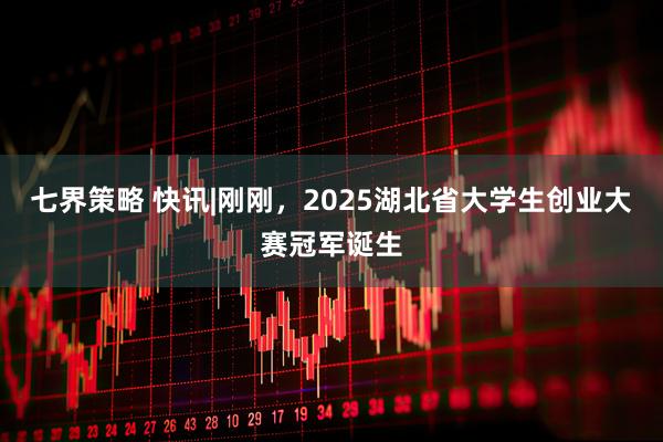 七界策略 快讯|刚刚，2025湖北省大学生创业大赛冠军诞生