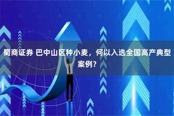 蜀商证券 巴中山区种小麦，何以入选全国高产典型案例？