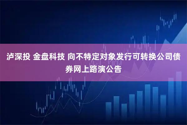 泸深投 金盘科技 向不特定对象发行可转换公司债券网上路演公告