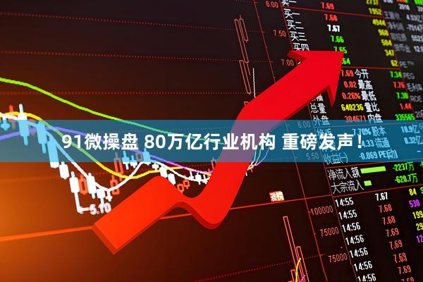 91微操盘 80万亿行业机构 重磅发声！